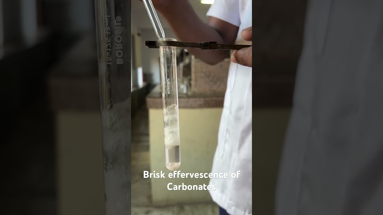 Brisk effervescence of Carbonates