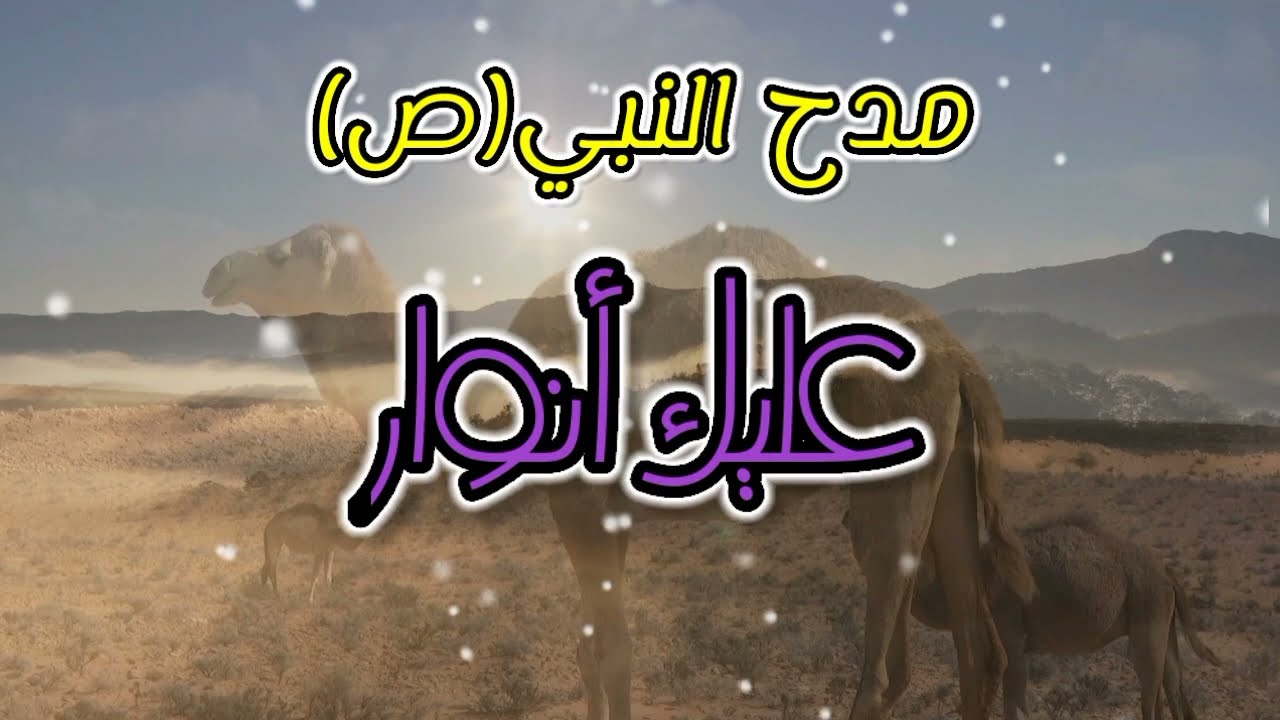مدحة حسانية/عليك أنوار/شباب المرجان