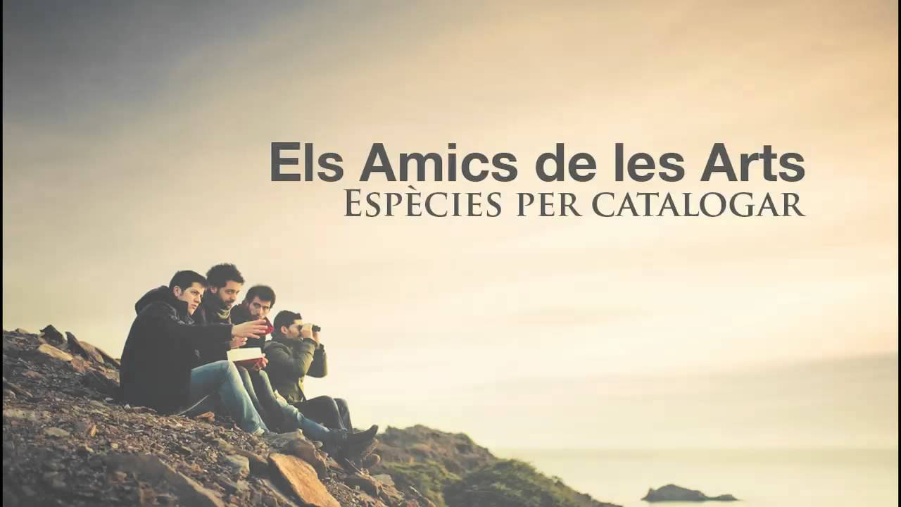 Els Amics de les Arts - Louisiana o els camps de cotó