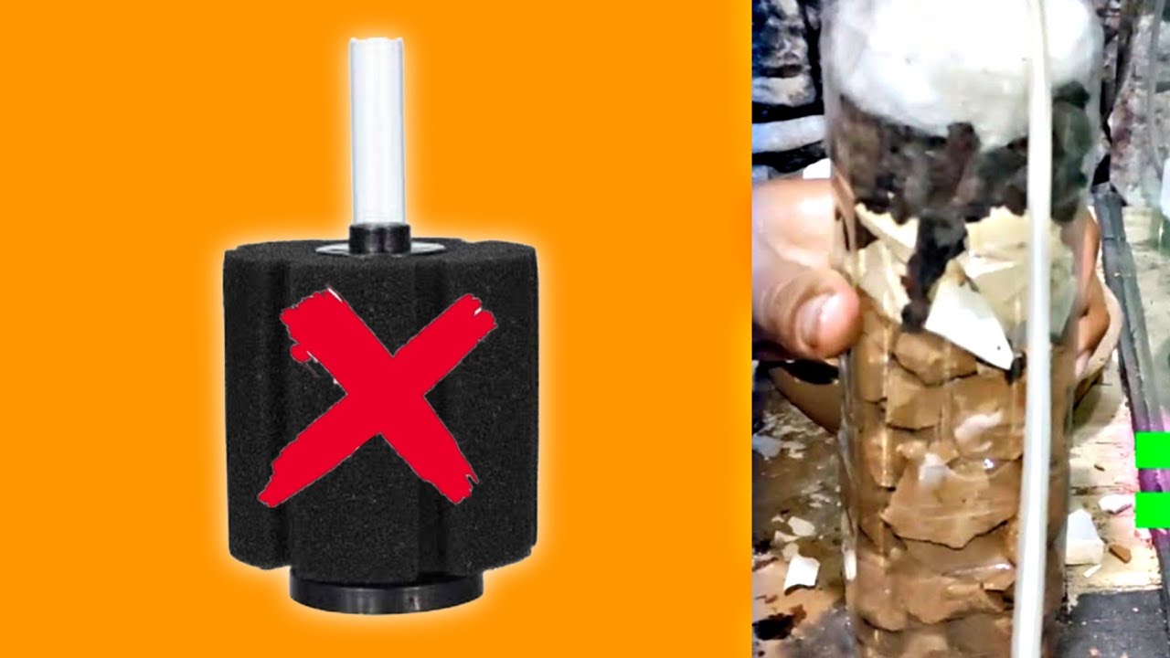 ازاى اعمل فلتر حوض السمك ببلاش🤑🤫