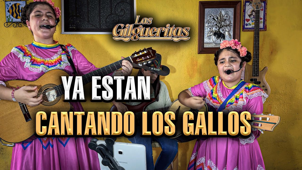 YA ESTAN CANTANDO LOS GALLOS