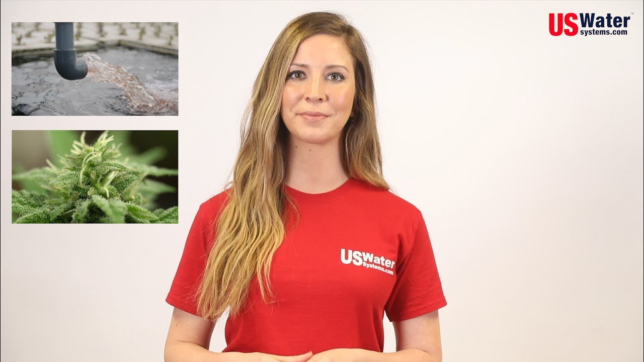 Water for Cannabis