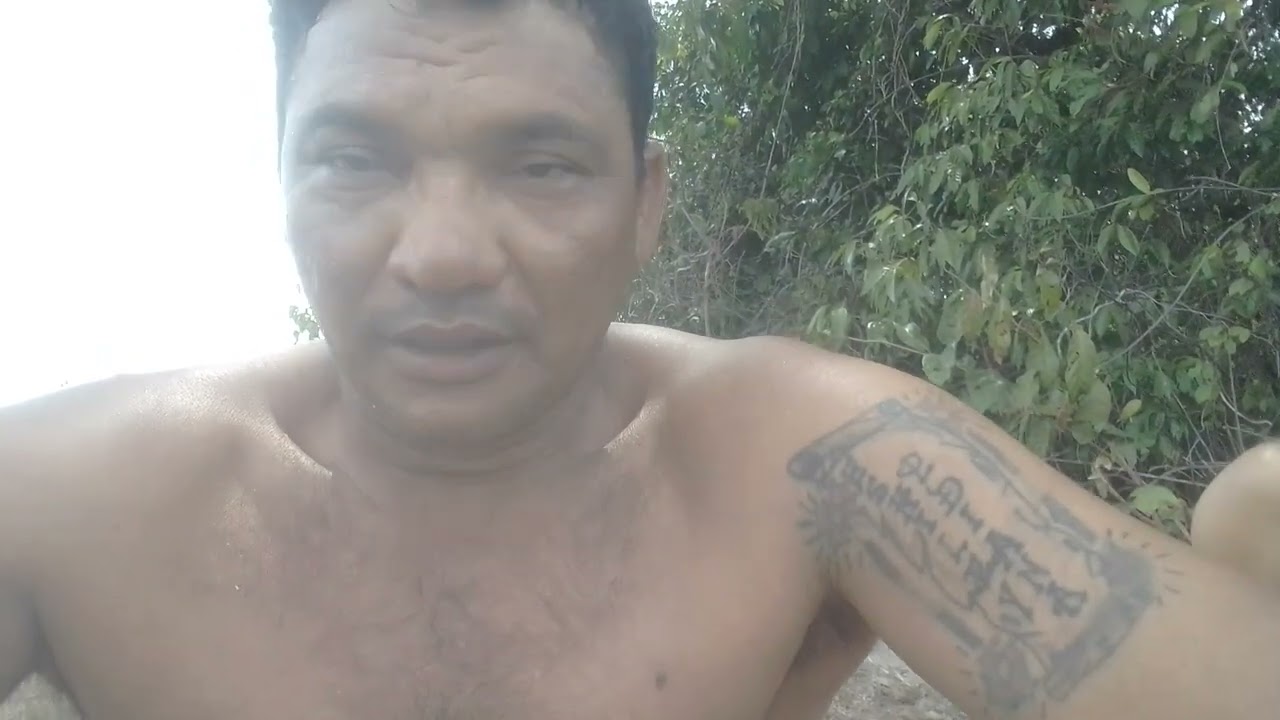 os novatos da laranja