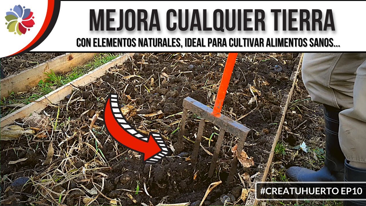 🌱 Cómo MEJORAR la TIERRA para tus CULTIVOS GRATIS - La naturaleza como aliada - Clase 2