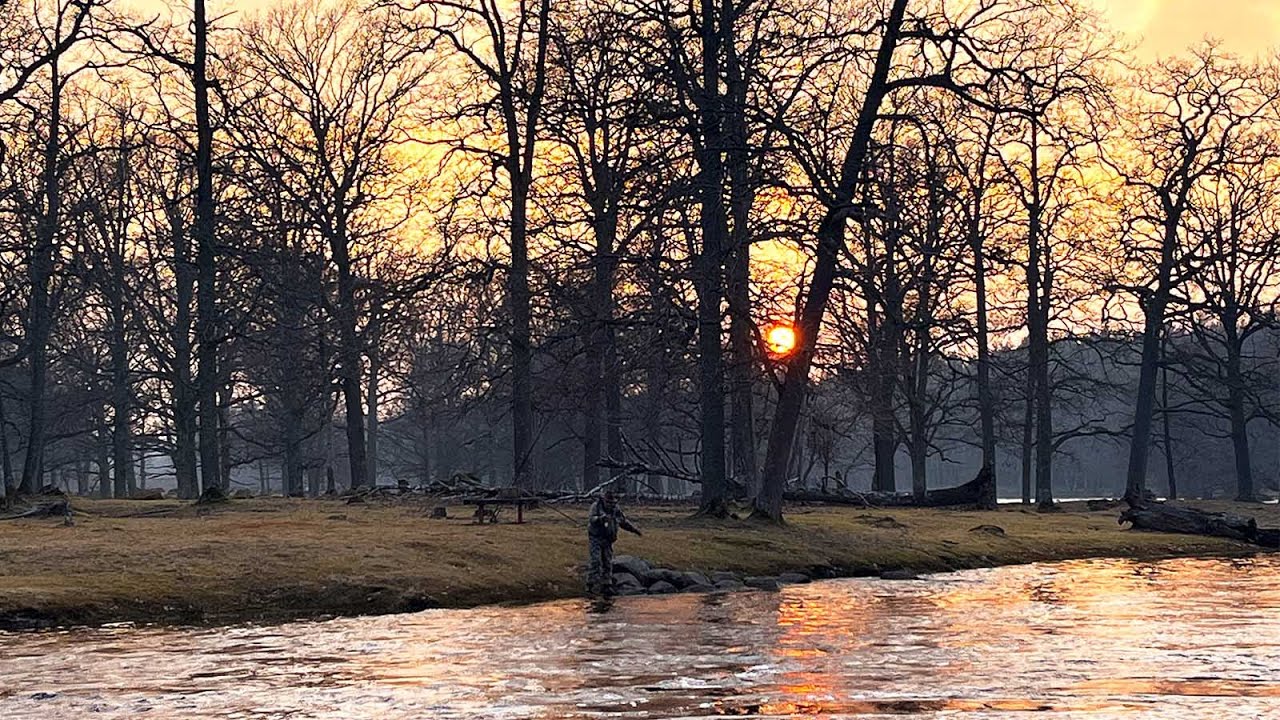 River Em Opening Days 2022 – Fight for the Wild Baltic Salmon & Sea Trout