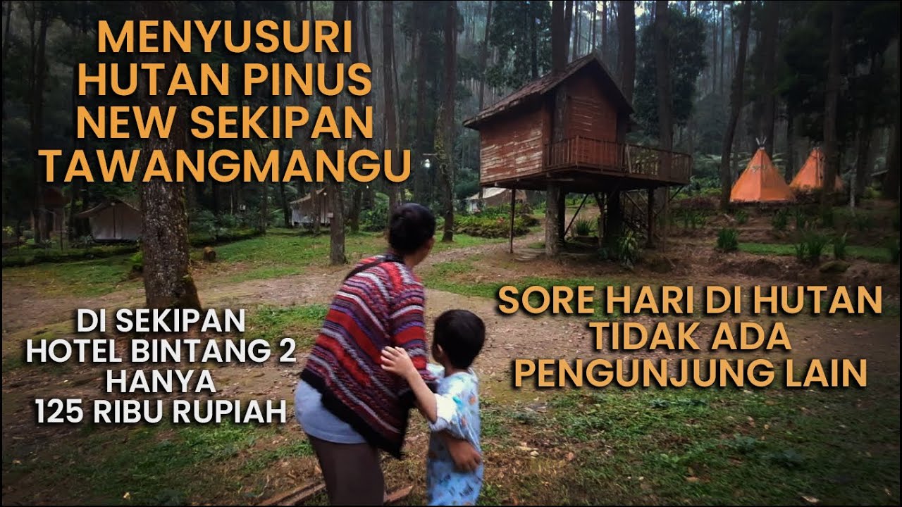 WISATA DI SEKIPAN, TAWANGMANGU Part #1 || JALAN-JALAN DI HUTAN PINUS NEW SEKIPAN