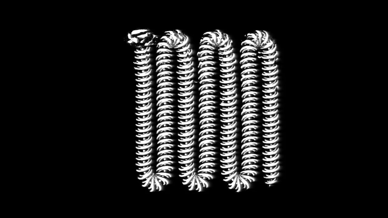 BODY CORP -  VOSA