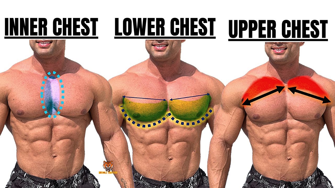 TOP 5 INNER ,LOWER AND UPPER CHEST WORKOUT AT GYM / Meilleurs exs Musculation poitrine .