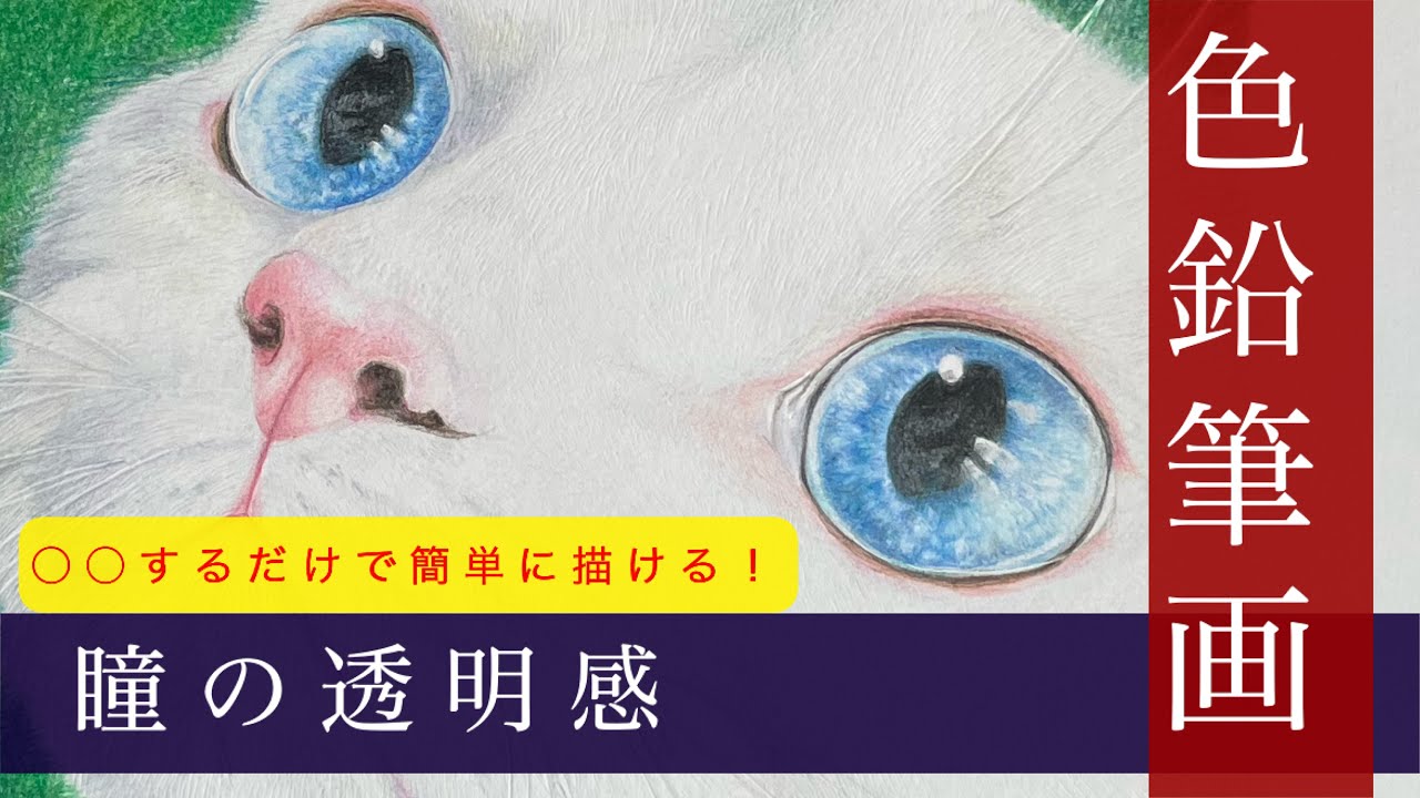 【色鉛筆】透明感に挑戦！  瞳の描き方【解説付き】Realistic cat drawing colord pencil
