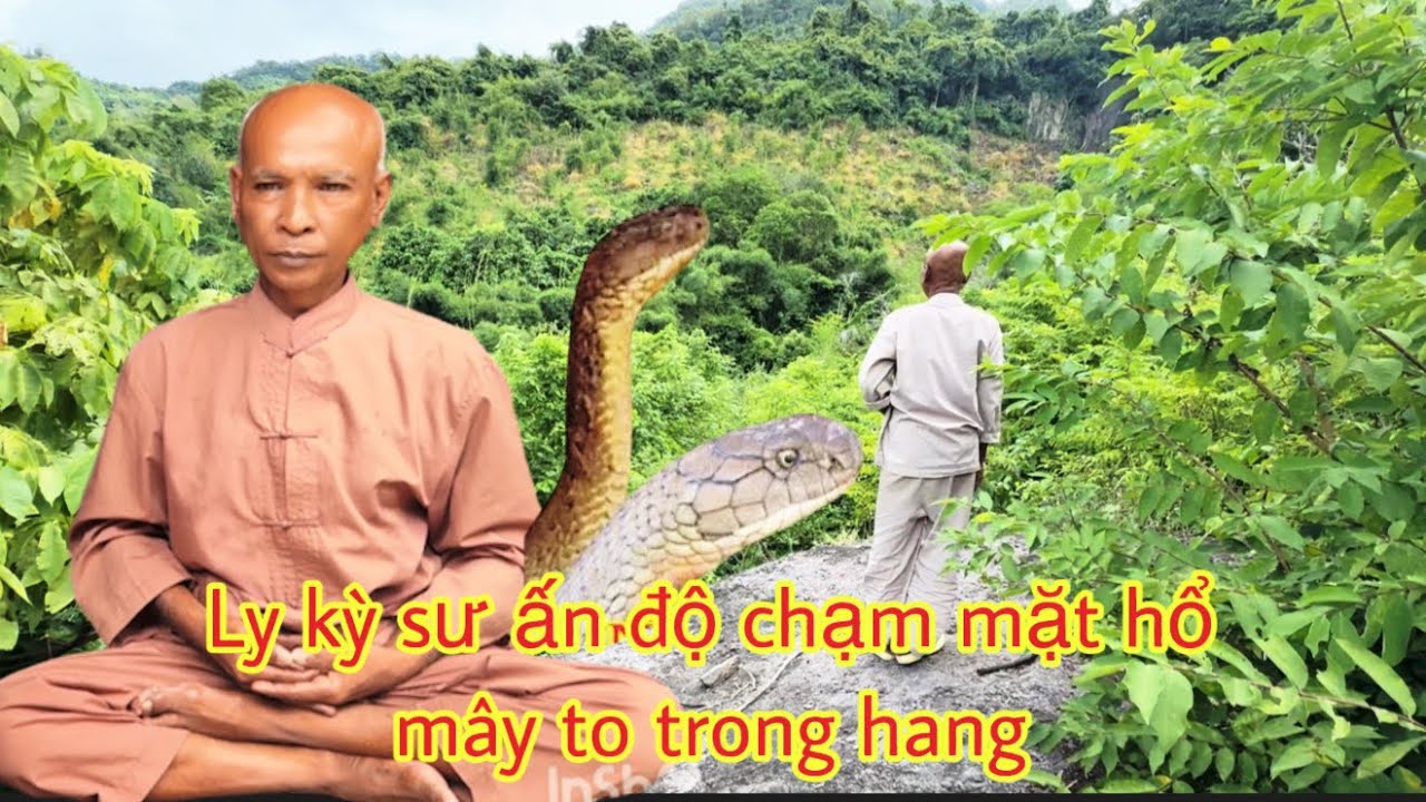 Lu kỳ:Phát hiện sư ấn độ ẩn tu trên núi chạm mặt r:ắn hổ mây khổng lồ trong hang