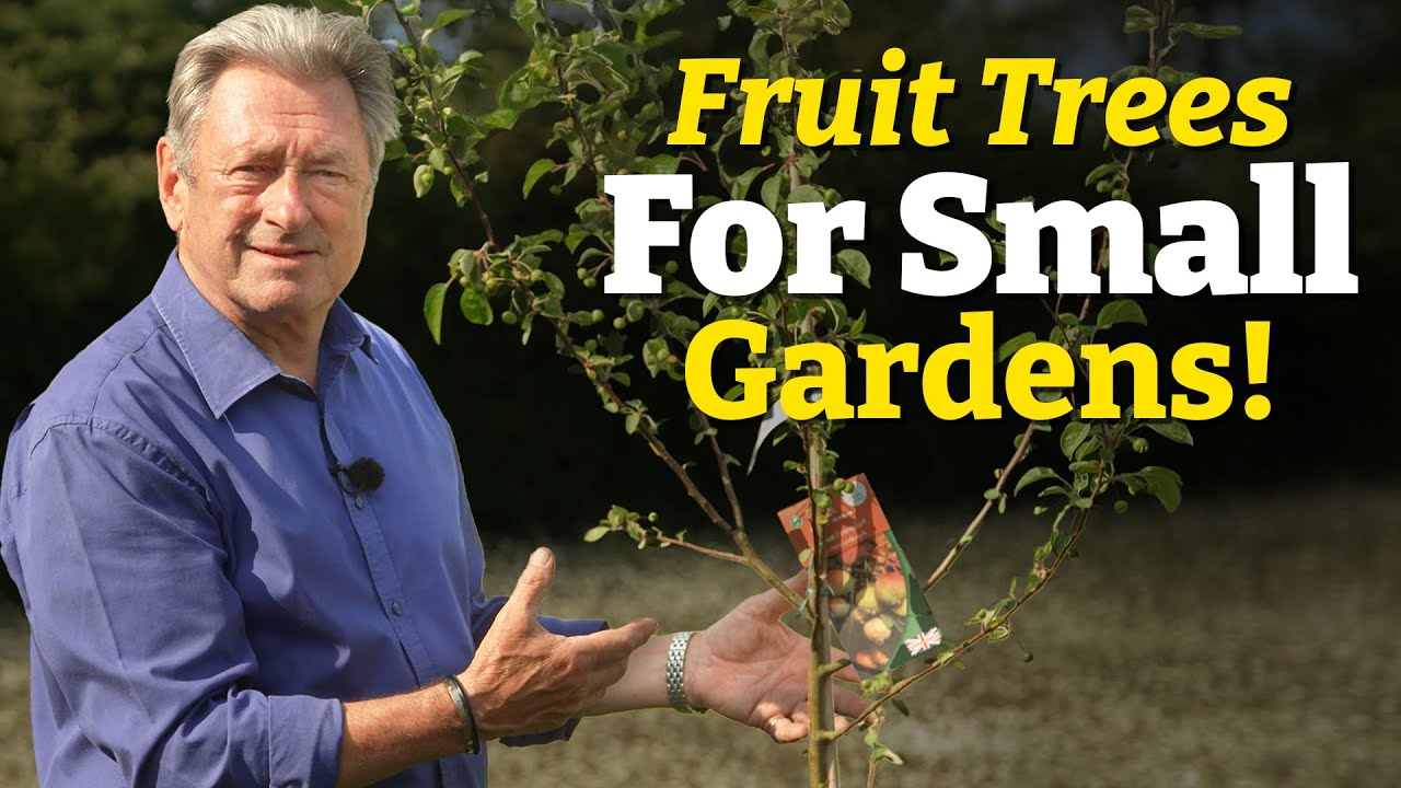 How to Grow Fruit in Small Gardens | Easy, Space-Saving Ideas