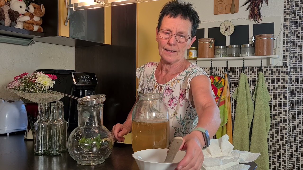 Kombucha selbst herstellen