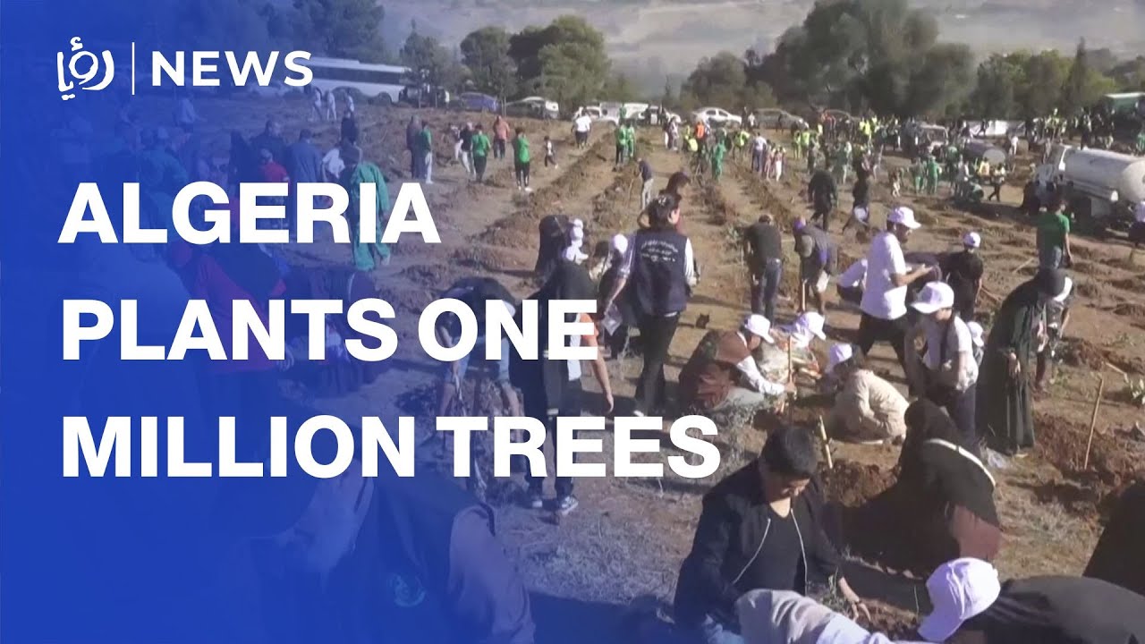 Algeria to plant one million trees in 24 hours