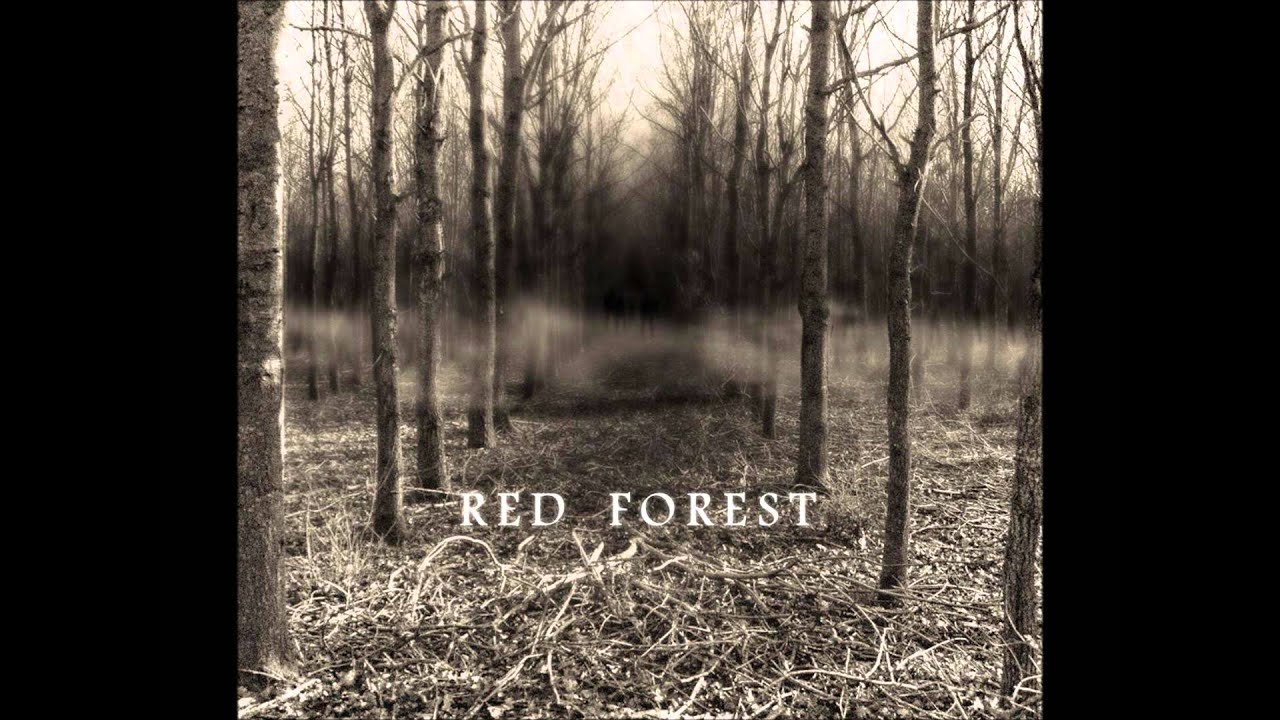RED FOREST - Le lac des singes (2014)