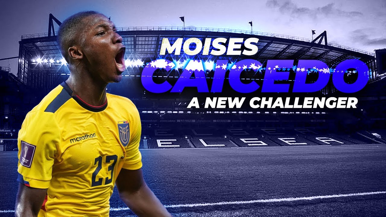 Moises Caicedo (Skills & Goals) 2023 - The New Age Kanté