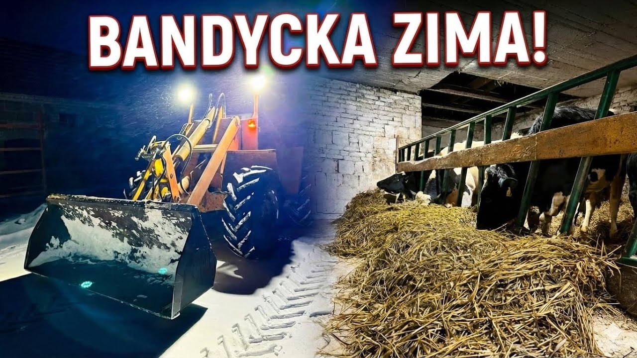 Mroźny klimat przywiał duże zmiany