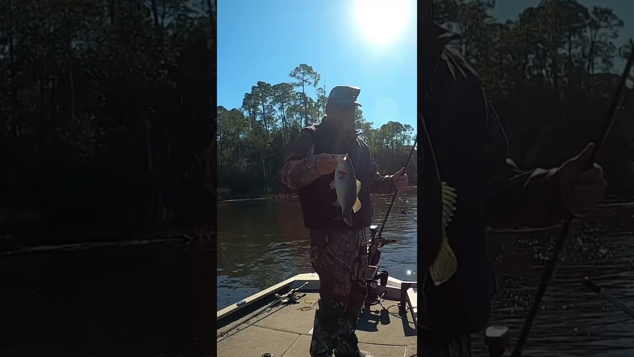 Pro fishing Bass Tip 🎣 