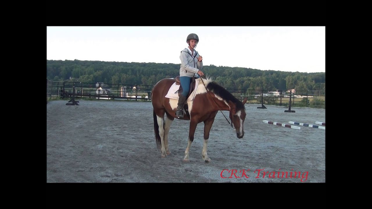 Slowing Down a Fast Horse