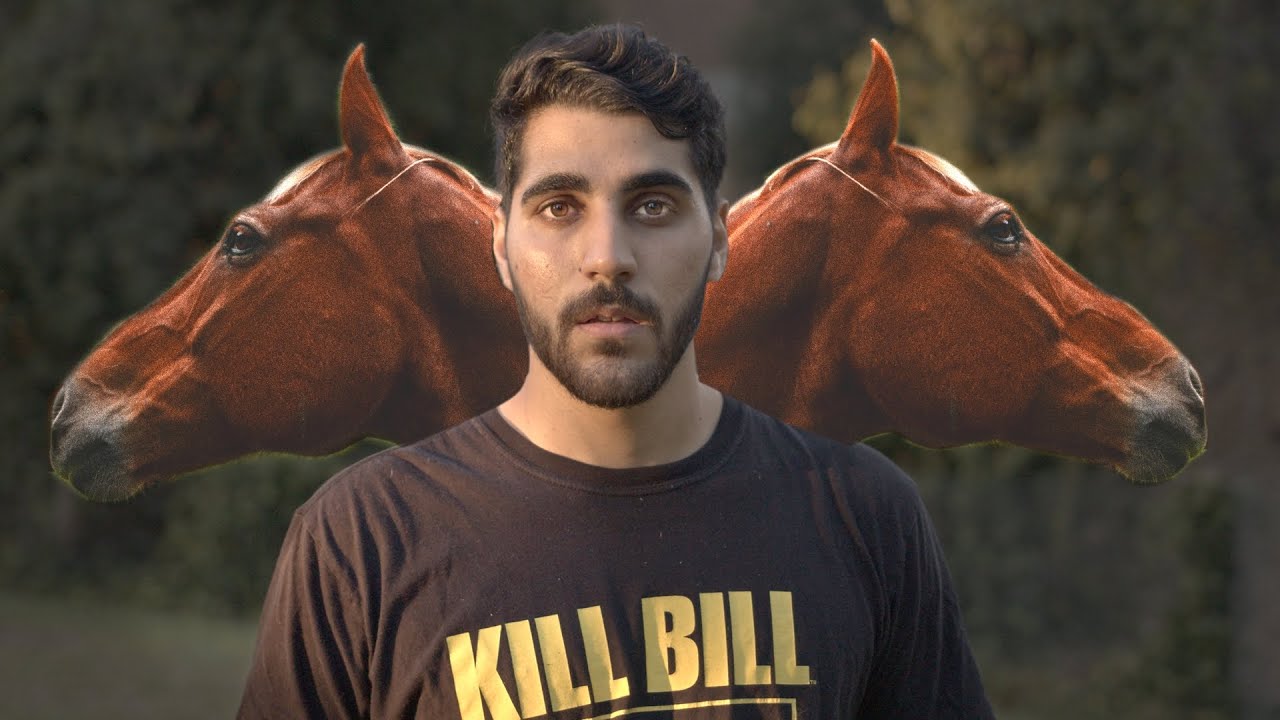 I wish I was a horse