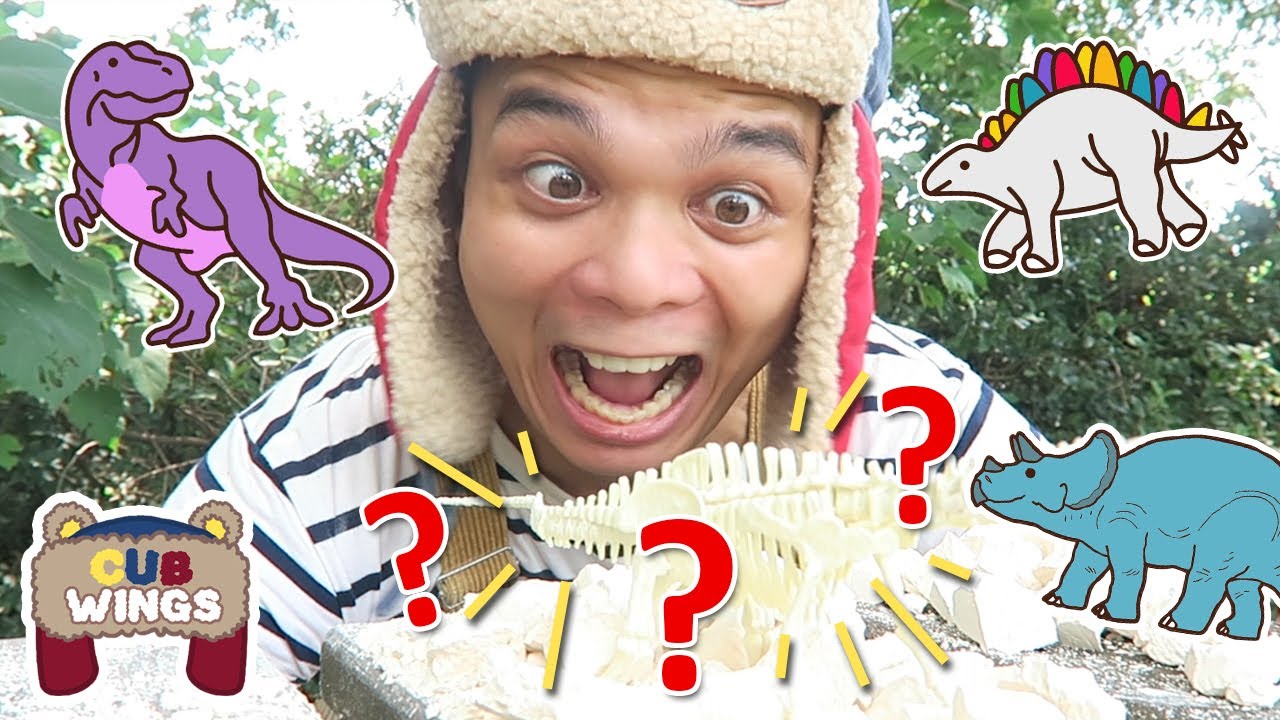 Finding Fossils of Dinosaurs | Learn All about Fossils for Preschoolers | Cub Wings