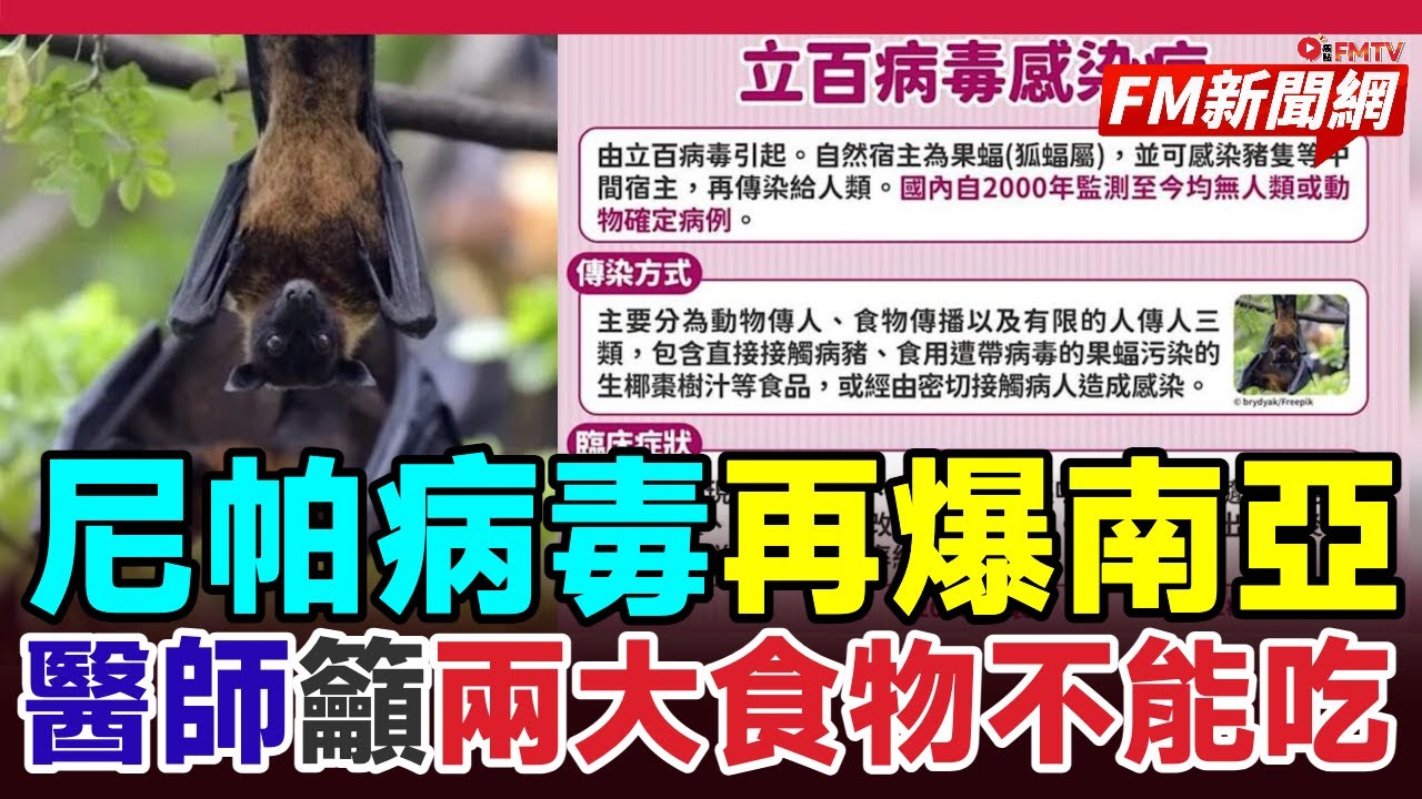 💥立百病毒致死率高達75%再爆南亞！生椰棗汁成致命元兇？醫師急解答兩大食物能不能吃，台灣即將列第五類法︱#fm新聞網 #尼帕病毒 #印度疫情 #果蝠傳染 #無疫苗無藥 #第五類法定傳染病