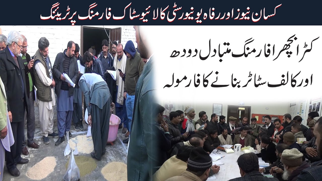 Calf Rearing & Milk Re-placer Training Workshop| بچھڑے پالنےاورمتبادل دودھ بنانے کا مکمل عملی مظاہرہ