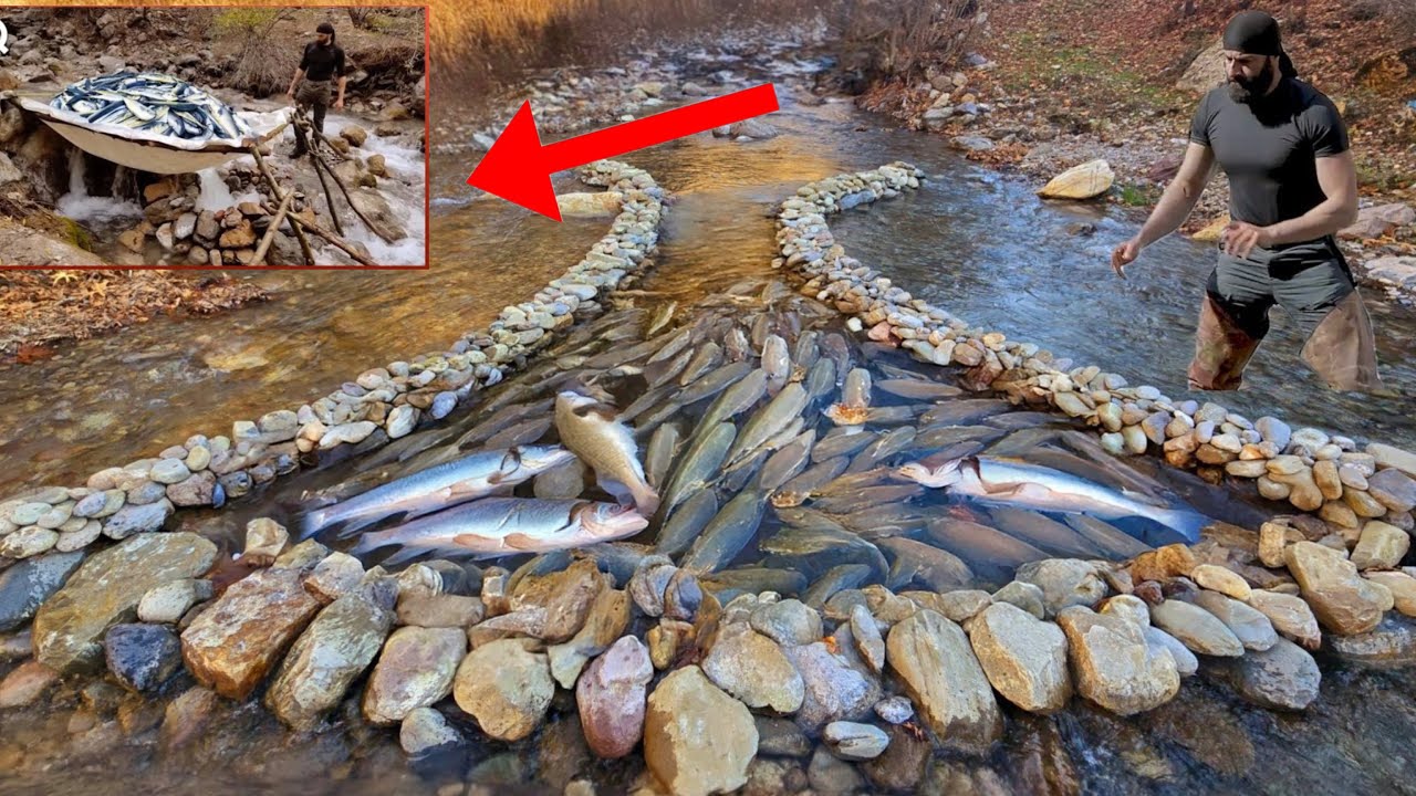 Fishing trap setting skills fish to harvest 20 kg of stream fish sale highland boy khai fishing 🎣🎣