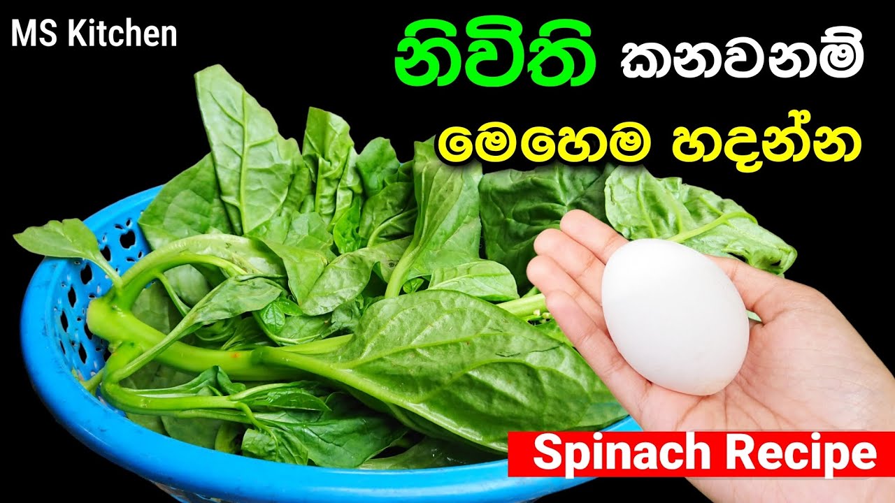 රසට නිවිති කන්නනම් මෙහෙම හදන්න | Nivithi Recipe | Spinach Recipe | 