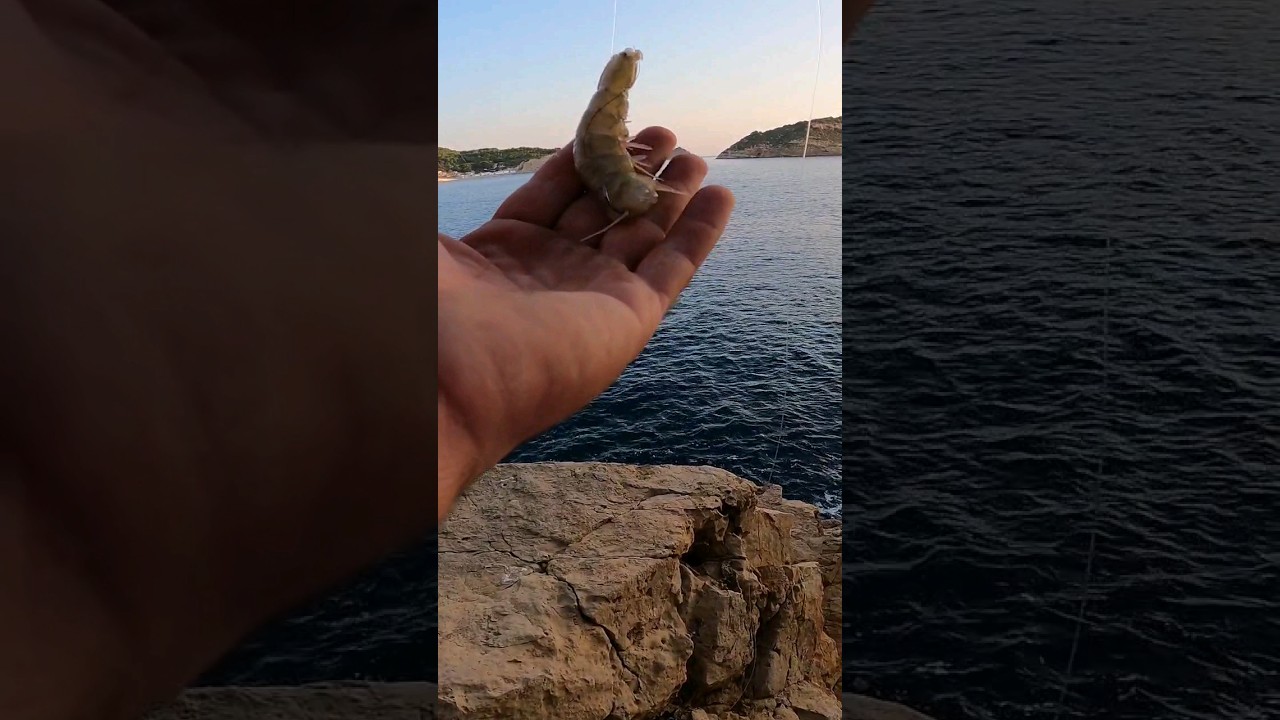 Cebo langostino 💥1 anzuelo