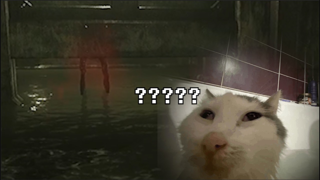저 깜찍한 다리는 뭘까