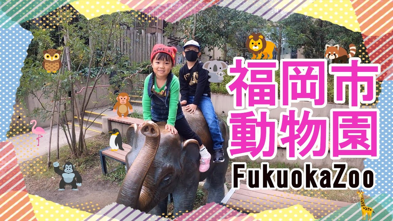 福岡市動植物園の動物園散策してきた┃FukuokaZoo 遊び Vlog