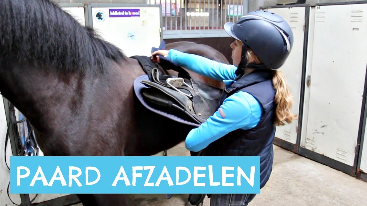 Hoe zadel je een paard af?