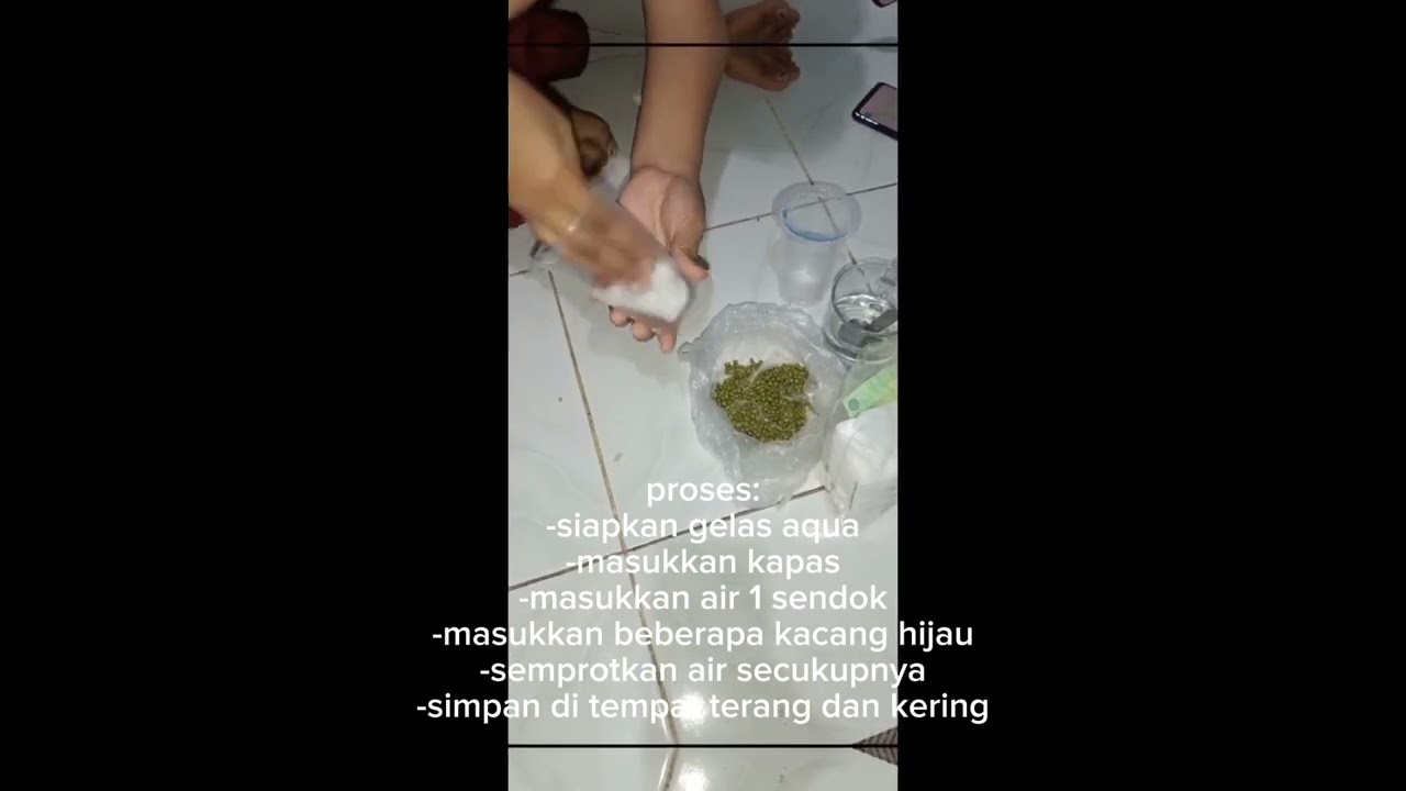 agronomi