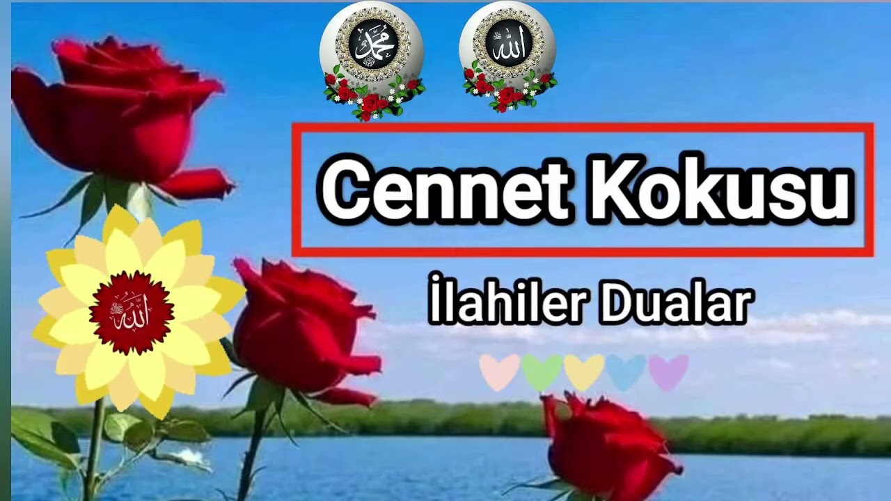 Ben bir deli rüzgar ilahisi 