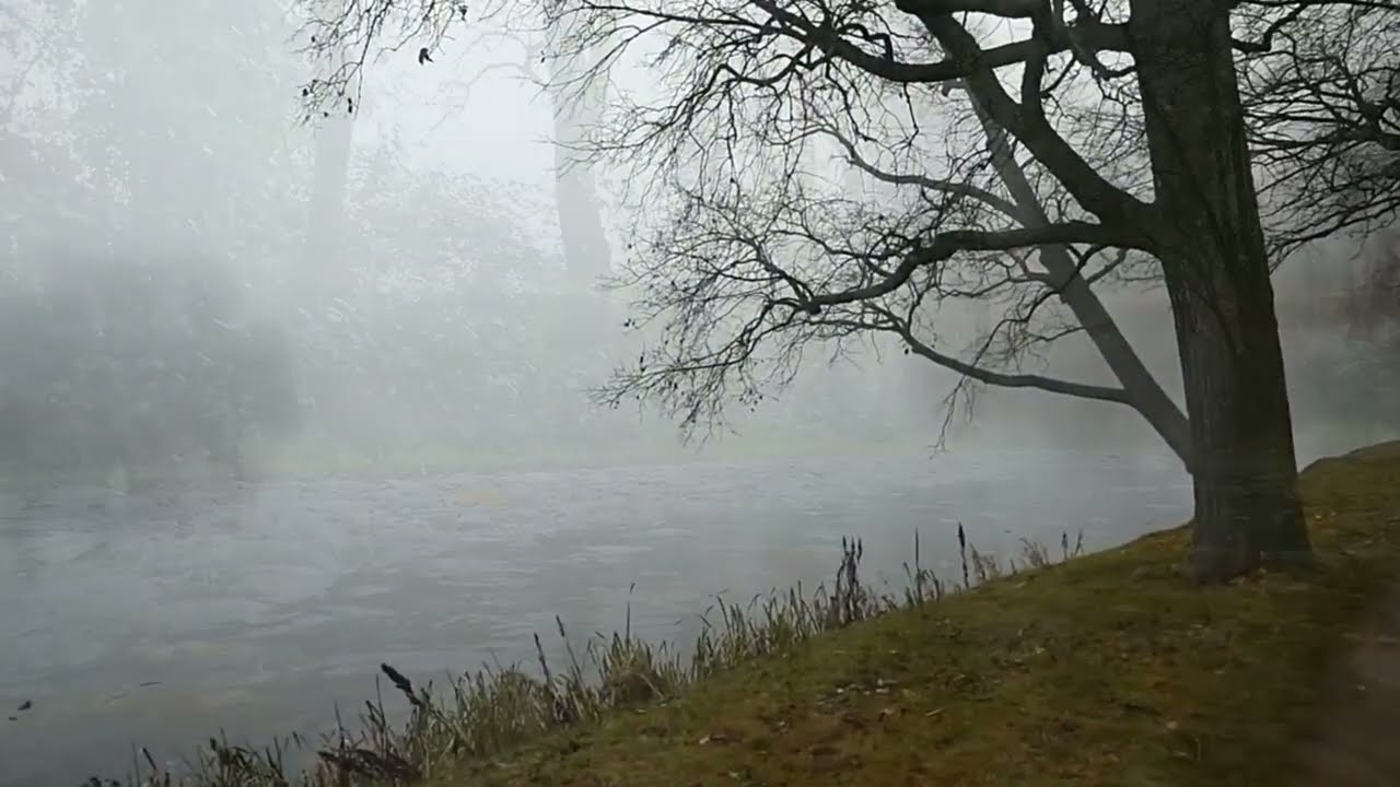 Туманы и дожди   -   Владимир Мещеряков(Г.Ляшенко - Шилкина)