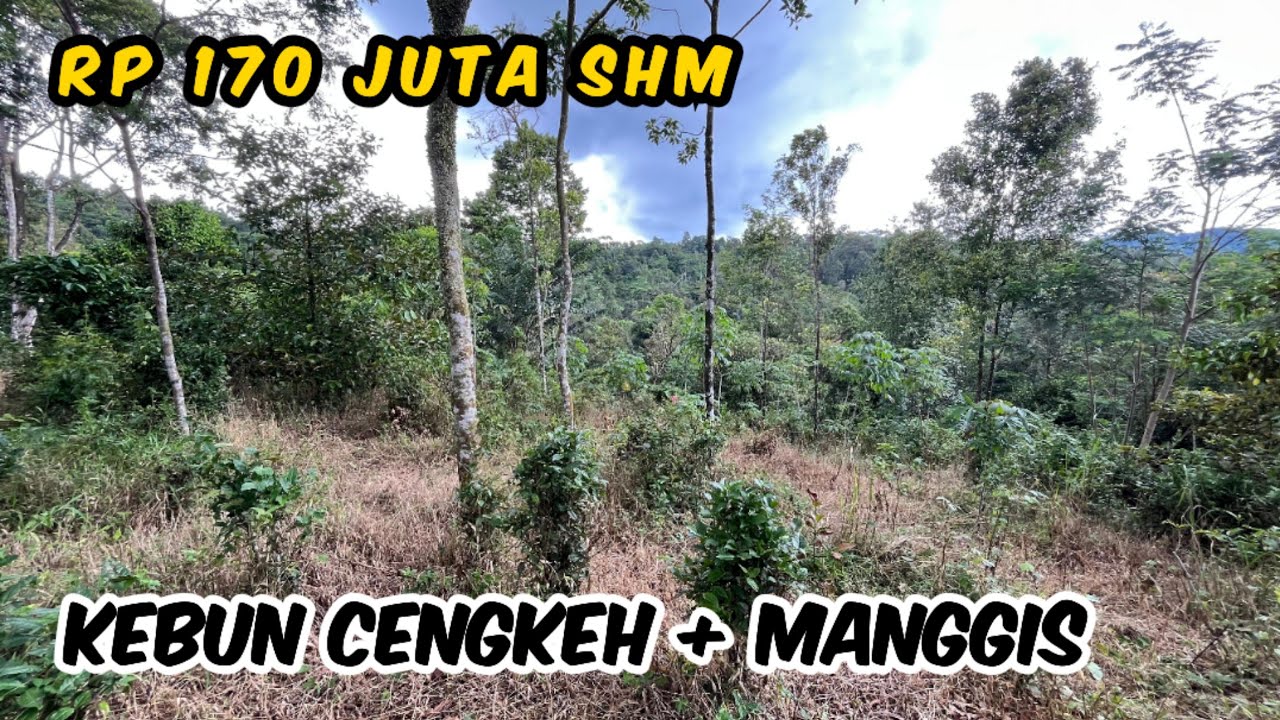 Tanah Kebun Manggis dan Cengkeh 1700 m2 SHM Rp 170 Juta di Kiarapedes (Wanayasa) Purwakarta