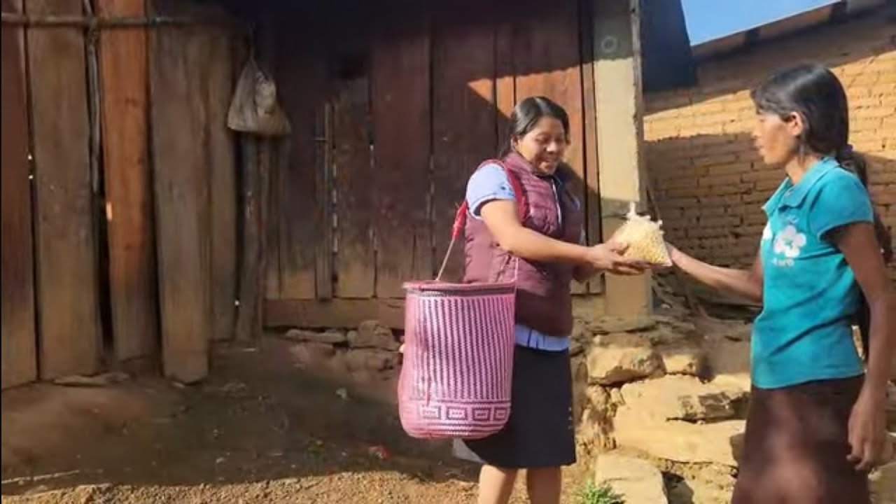 ✅️😃Después de hacer la limpieza realizo trueque con plátanos y maiz