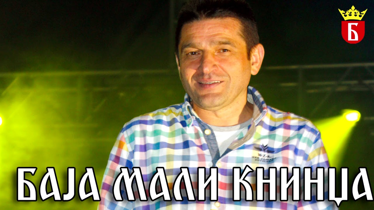 Baja Mali Knindza - Vojvoda neunistivi - (Audio 2014)