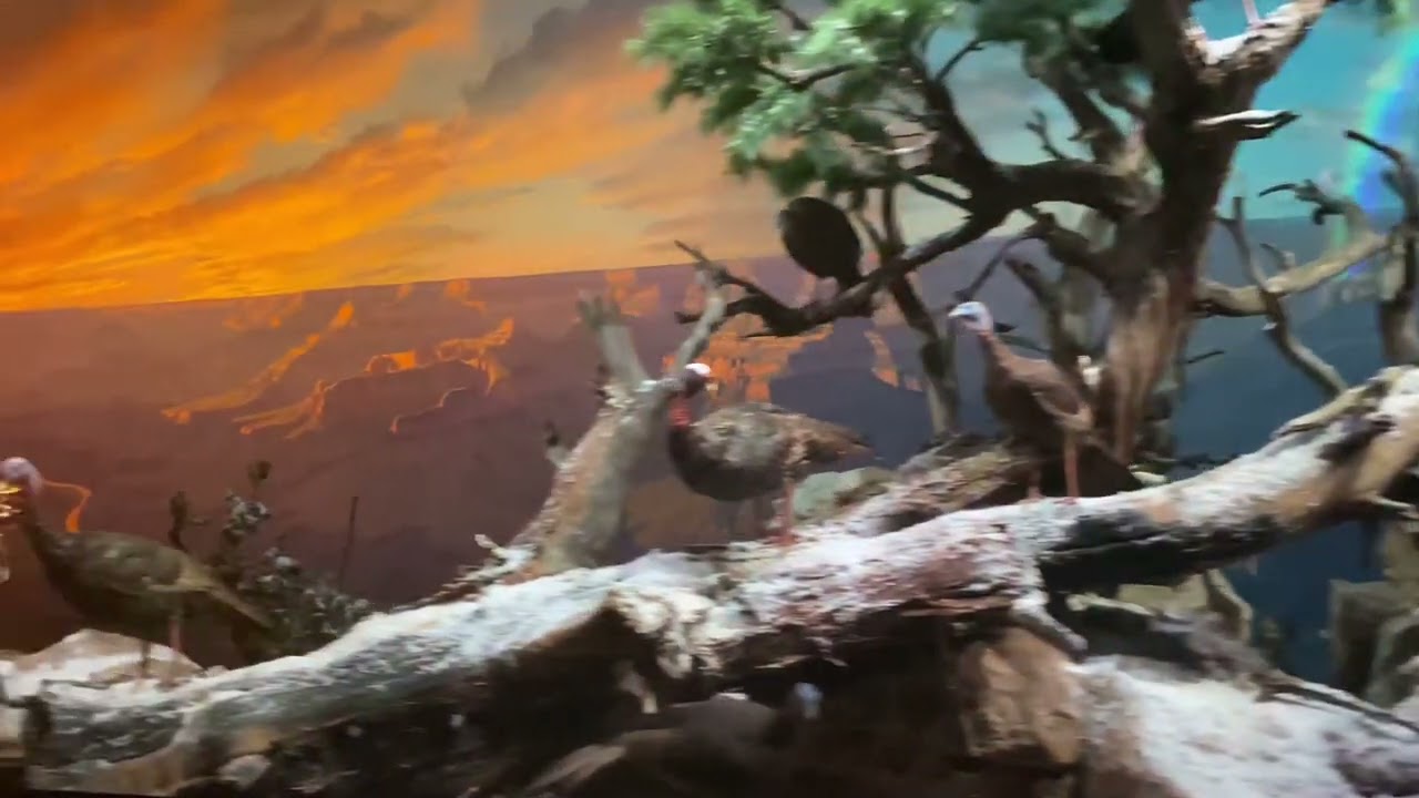 Grand Canyon Scene On the Disneyland Railroad!