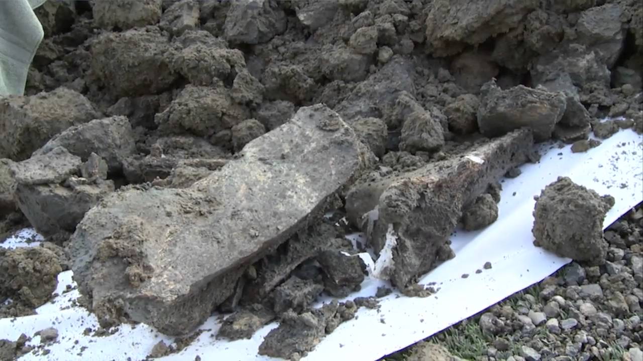 Mammoth bones uncovered at Oregon State University