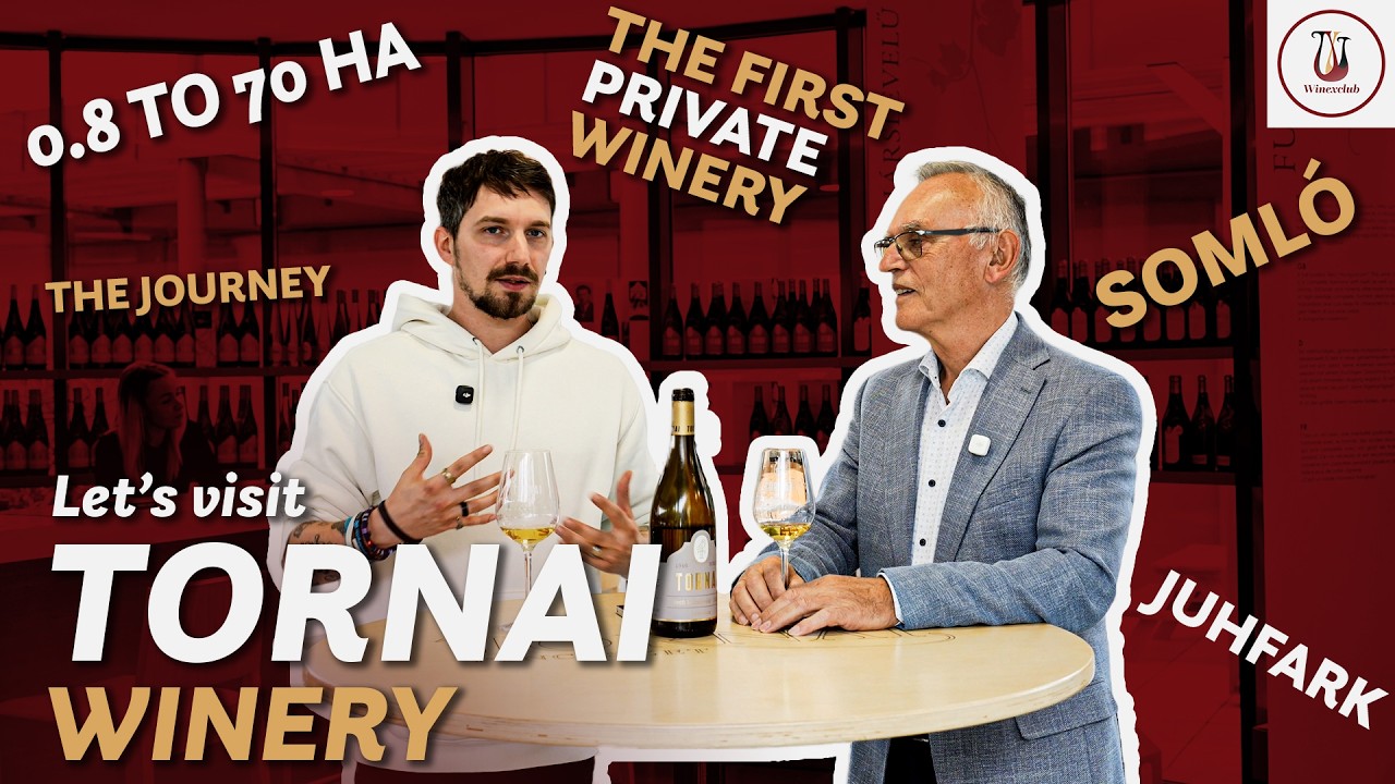 The Secret Story of Hungary’s FIRST Private Winery 🍷 | Tornai Winery