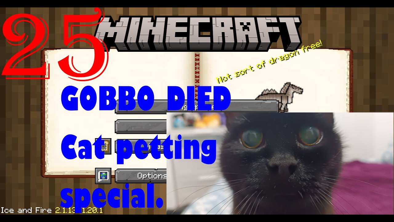 Chill Minecraft 25