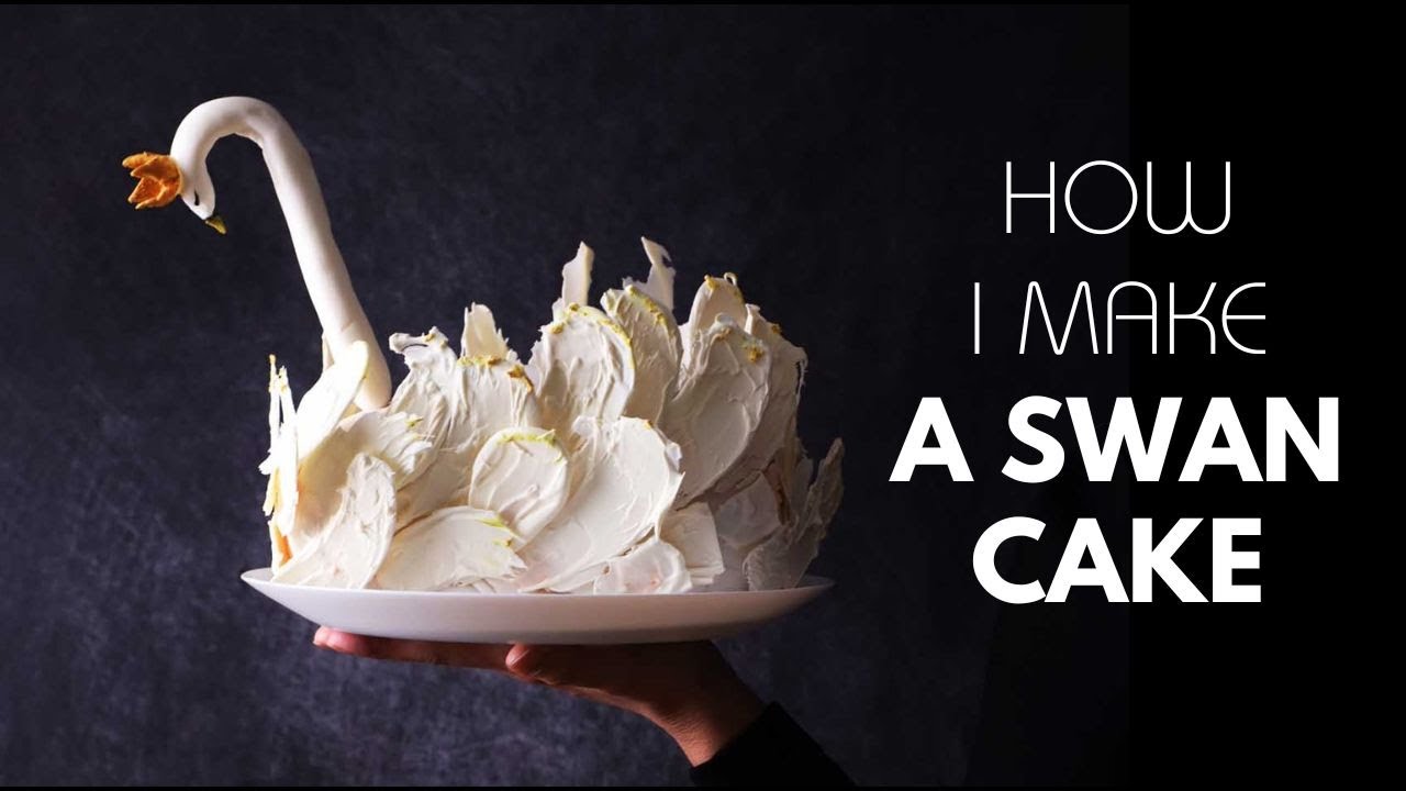 Swan Chocolate Cake | How I made the Swan Cake