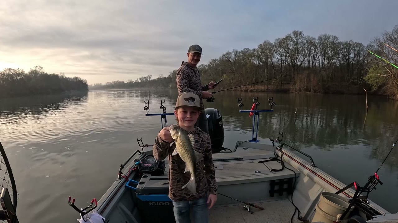 Catching Skipjack COLUMBUS, GA at Bubbles with Foster & Jake! #bait  #fishing #skips #catfishcandy