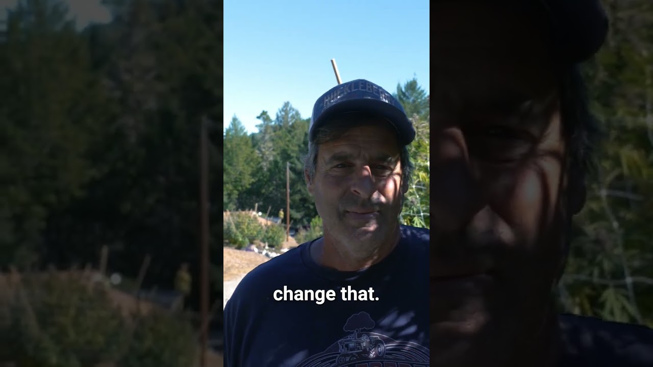 Growing For Willie Nelson