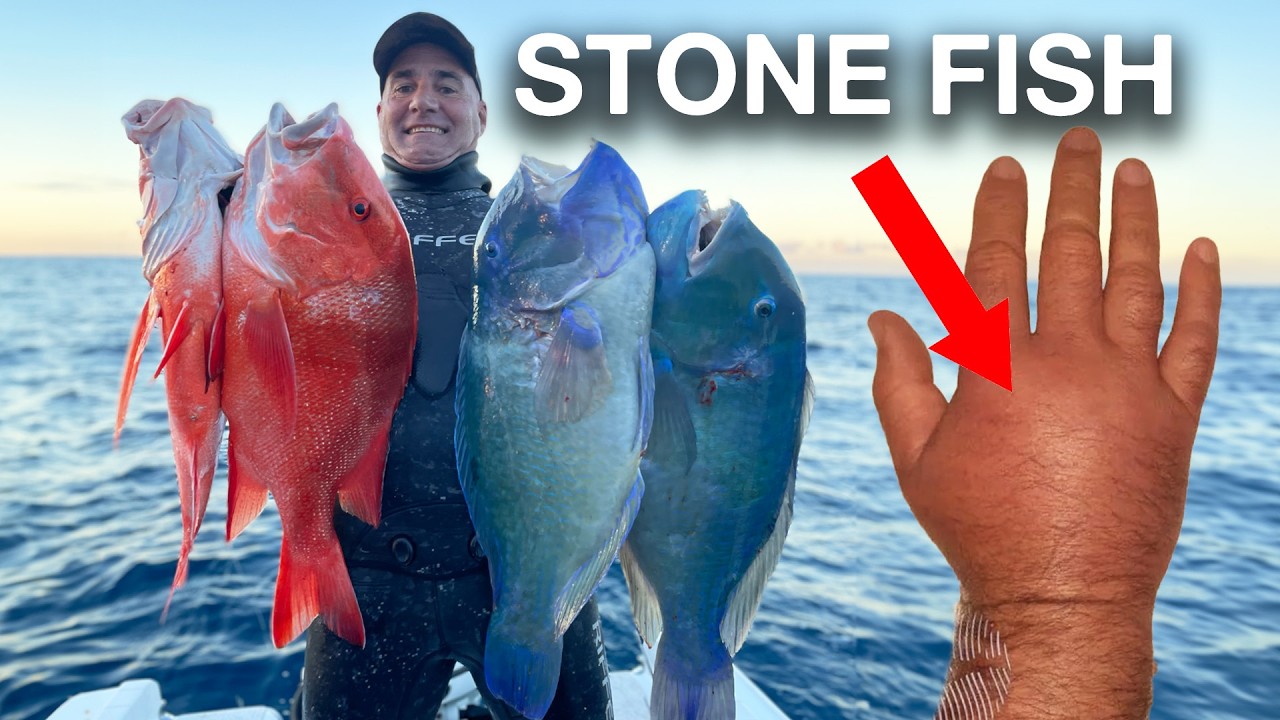 Stung by a Stonefish, Sharks, Storms and Big Red Fish – 2 Days Camping on My Boat