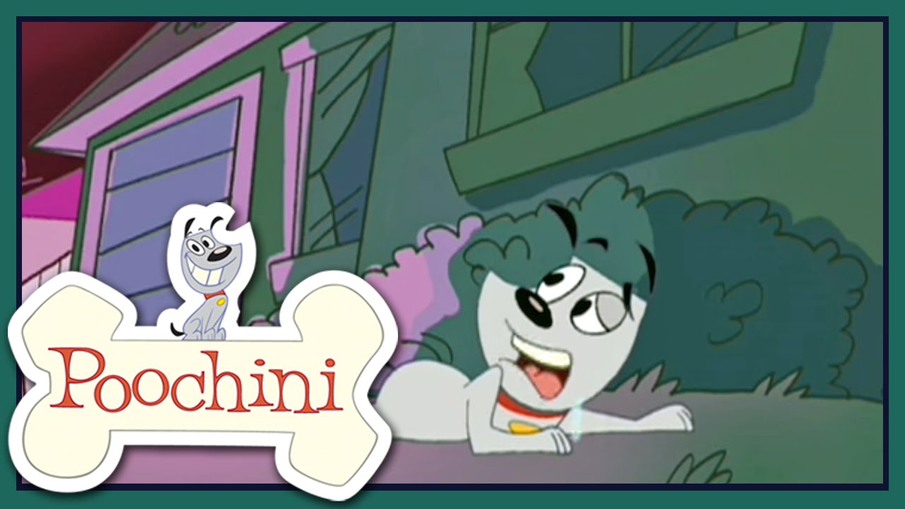 Poochini - Episódio 17 - Boning Up / Night Crawlers / Flying Dog