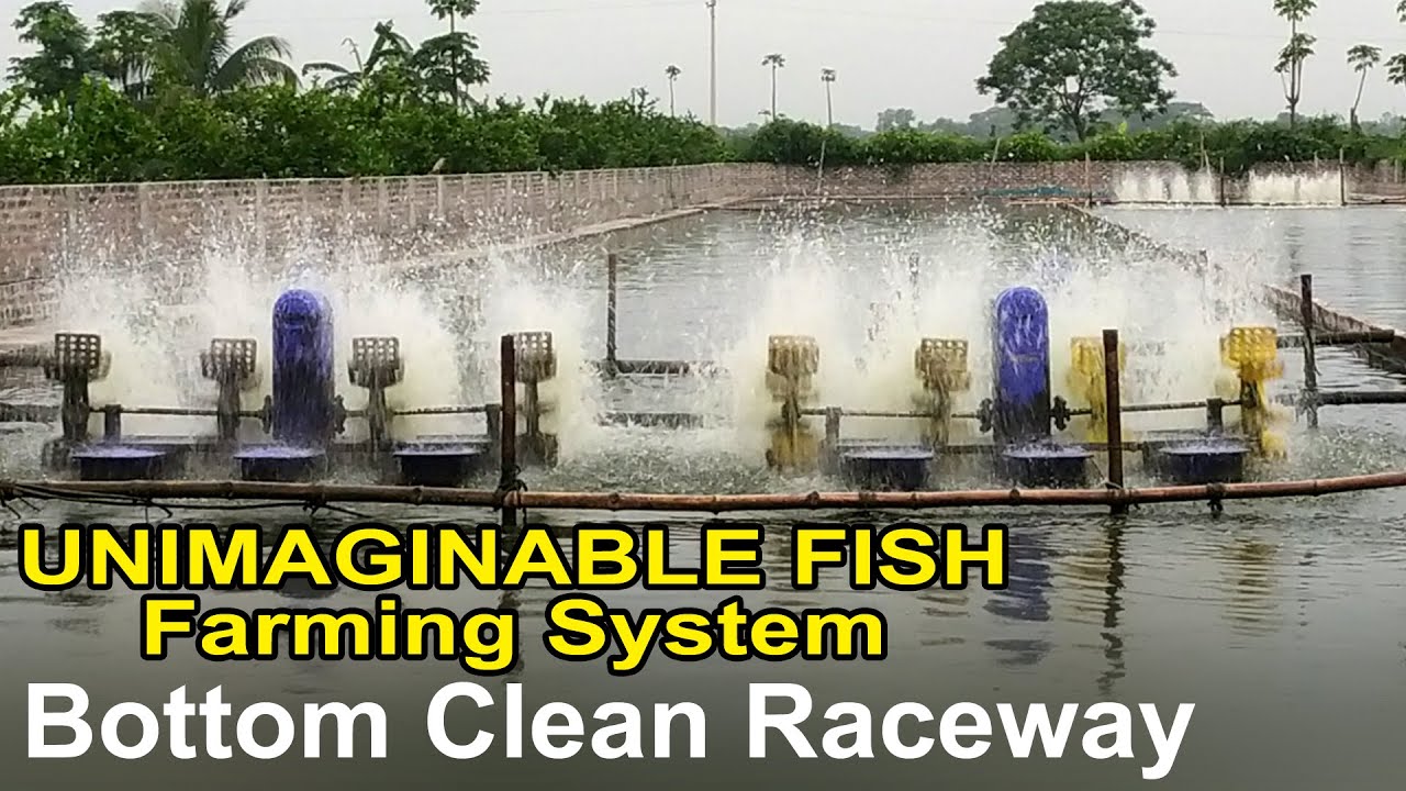 Unimaginable Fish Farming System | Bottom Clean Raceway
