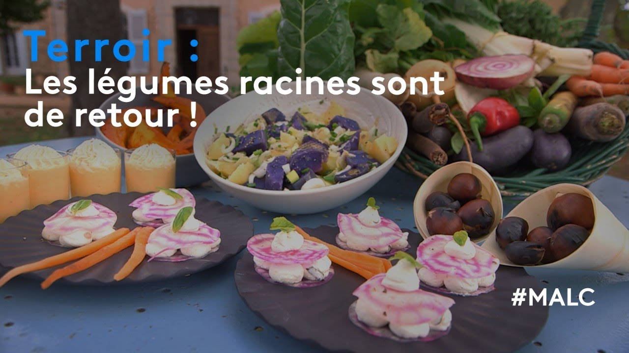 Terroir : les légumes racines sont de retour !