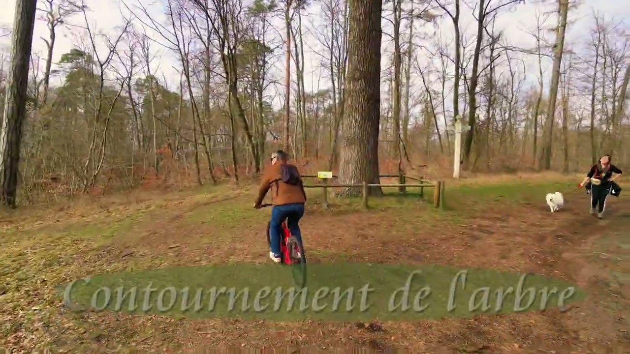 DJI Neo2 en pilotage autonome en foret de Compiègne (Chapitré)